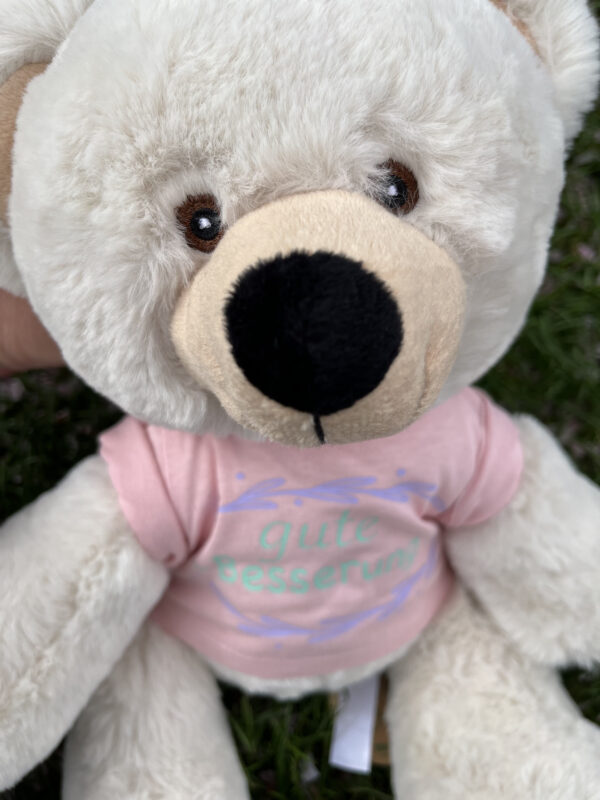 IMG 9395 600x800 - großer Recycel- Teddybär  mit Wunsch-Print auf dem Shirt
