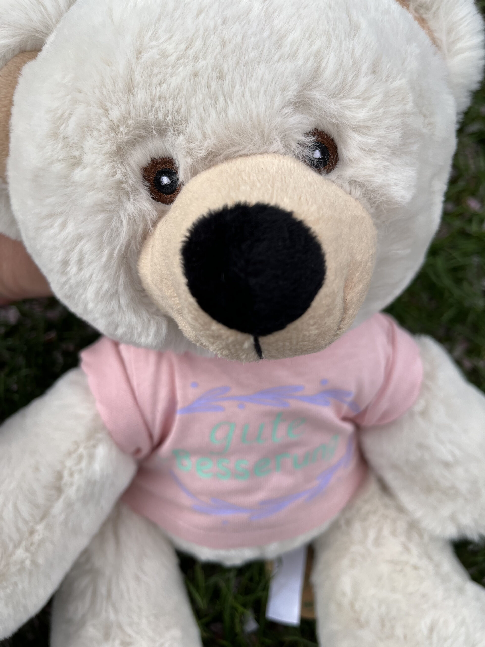 IMG 9395 scaled - großer Recycel- Teddybär  mit Wunsch-Print auf dem Shirt