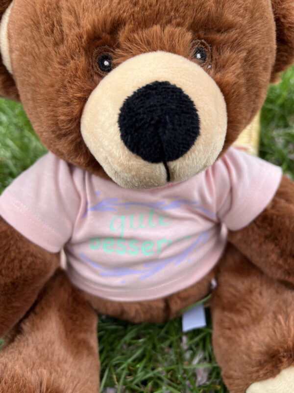 IMG 9403 600x800 - großer Recycel- Teddybär  mit Wunsch-Print auf dem Shirt
